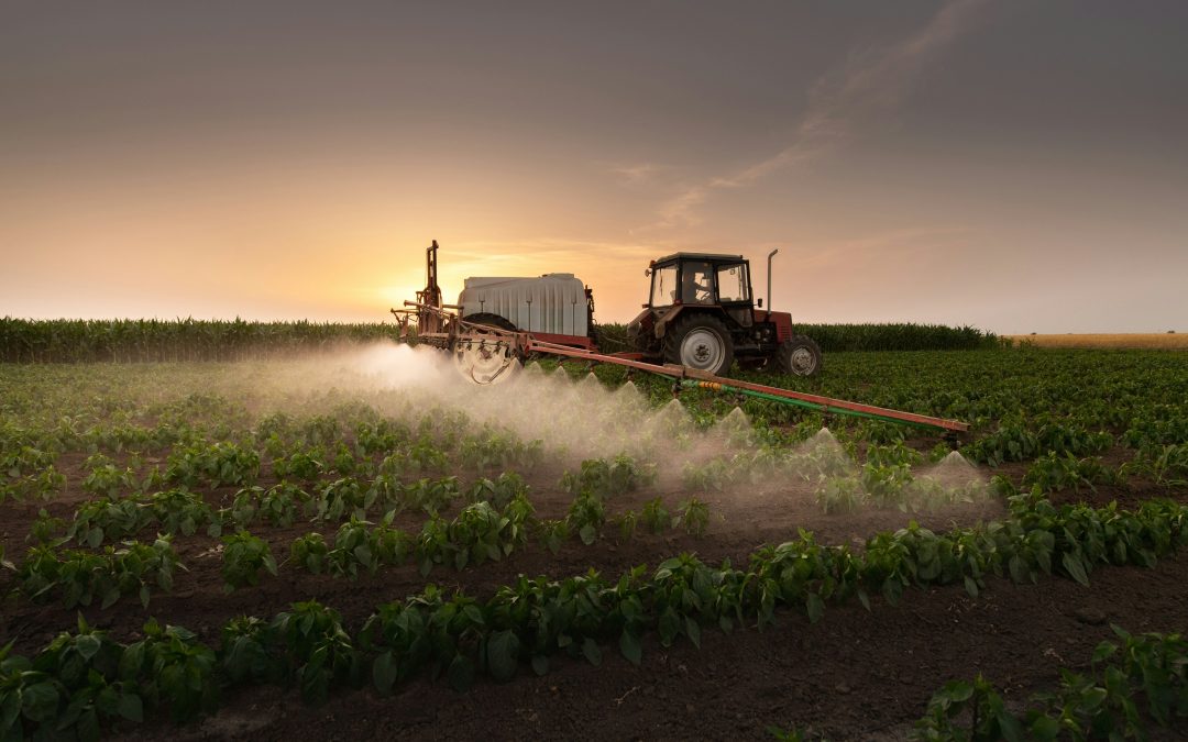 Best Accounting Practices for Farm Businesses