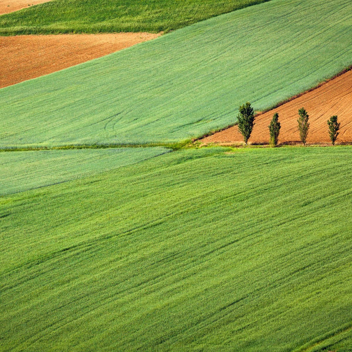 Agricultural Business Valuation